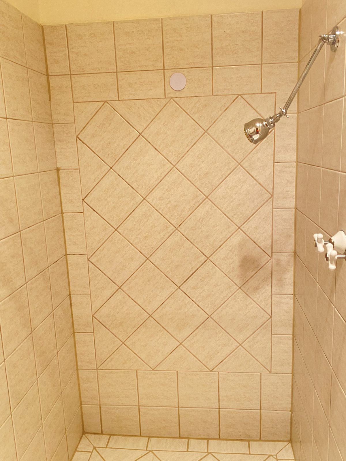 Spotless tiled shower recess and chrome shower head after a bond clean in Claremont